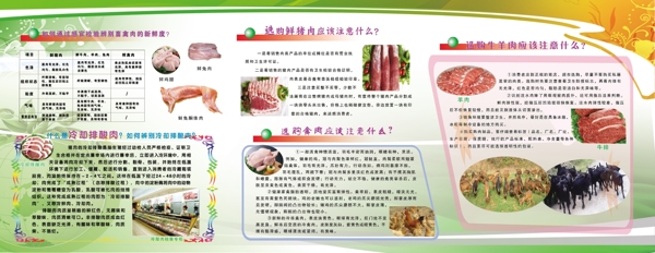 肉类食品安全管理