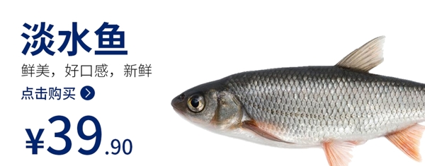 鱼海鲜鱼海报食品类图片
