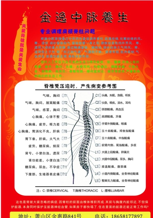 中医养生调理脊柱宣传图片