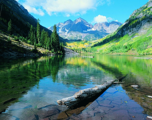 树植物水风景