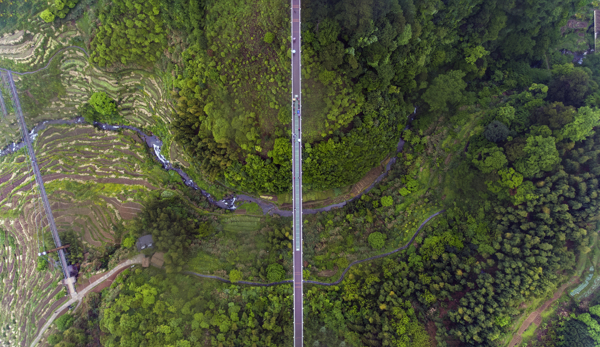 茂密的森林蜿蜒的小路和一座横跨山谷的桥梁