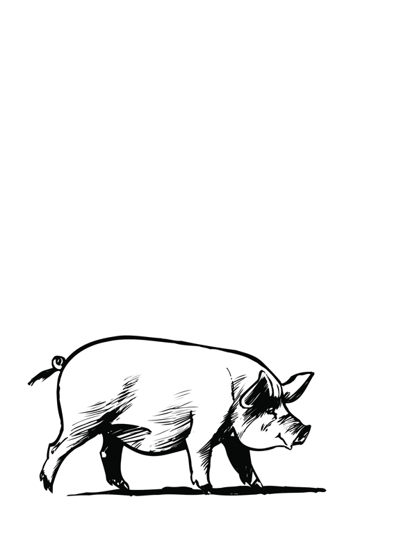 手绘猪肉猪八戒动物