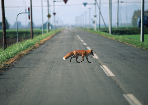 公路道路