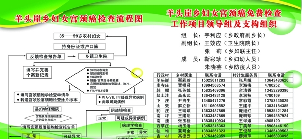 妇女宫颈癌检查流程图展版图片