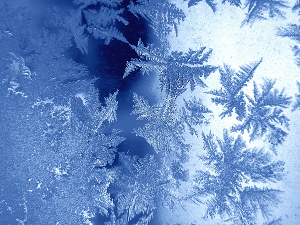 冬天雪花图片