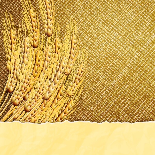 小麦与麻布背景