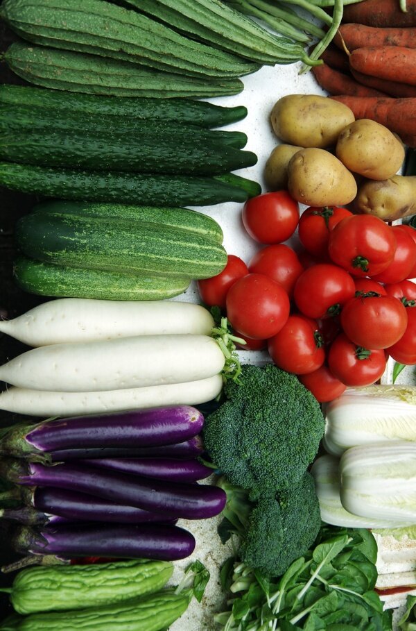 绿色蔬菜红绿黄白紫青