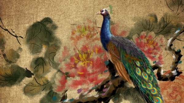 古风花鸟中国风牡丹宣纸水墨复古做旧孔雀