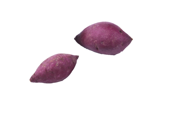 农家种植紫薯撒三个