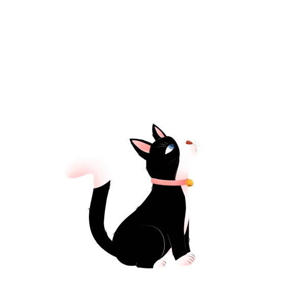 手绘一只仰望天空的小黑猫