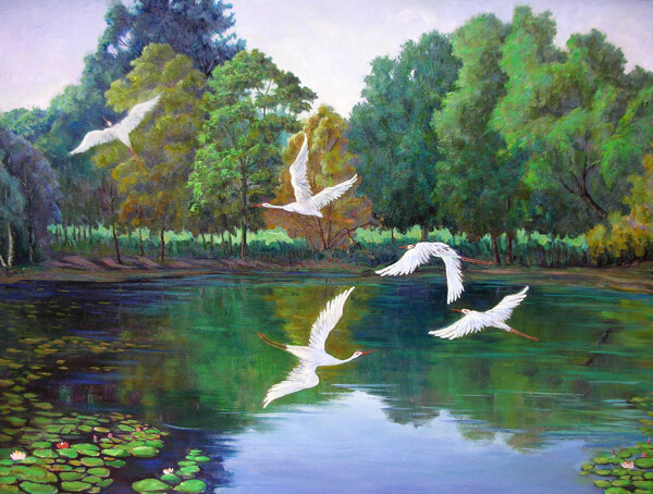 池塘上空的丹顶鹤油画图片