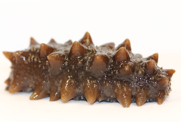 鲜美Q弹海参刺参