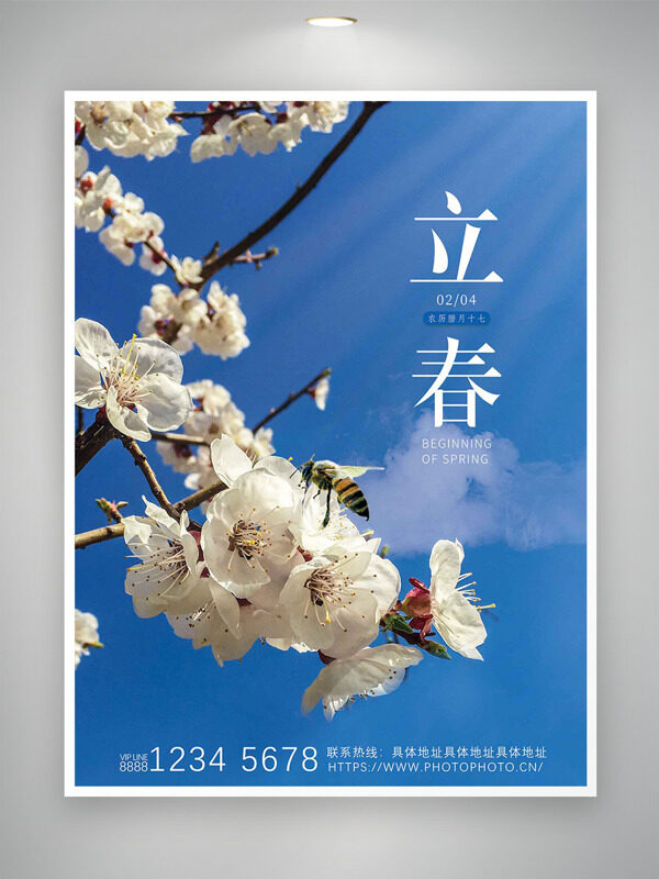 蓝天白云桃花插画立春节气阳光明媚海报