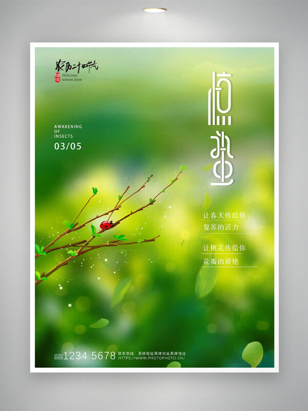 春意盎然新芽始发惊蛰节气创意海报