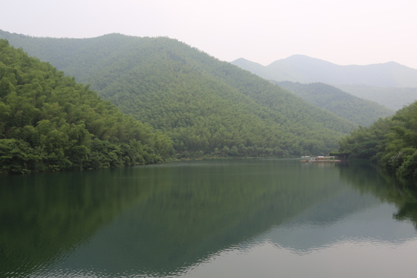 南山竹海图片