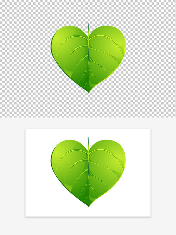情人节爱心形状的绿叶