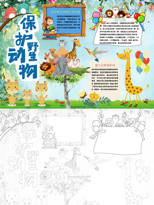 保护野生动物保护生态手抄报