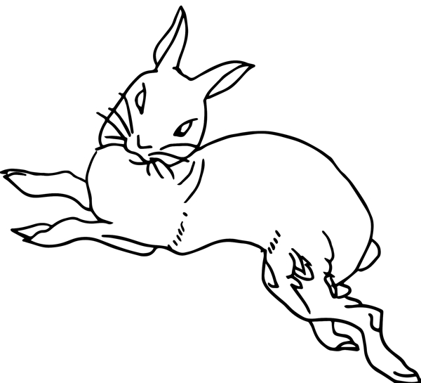 十二生肖兔动态手绘黑白线条