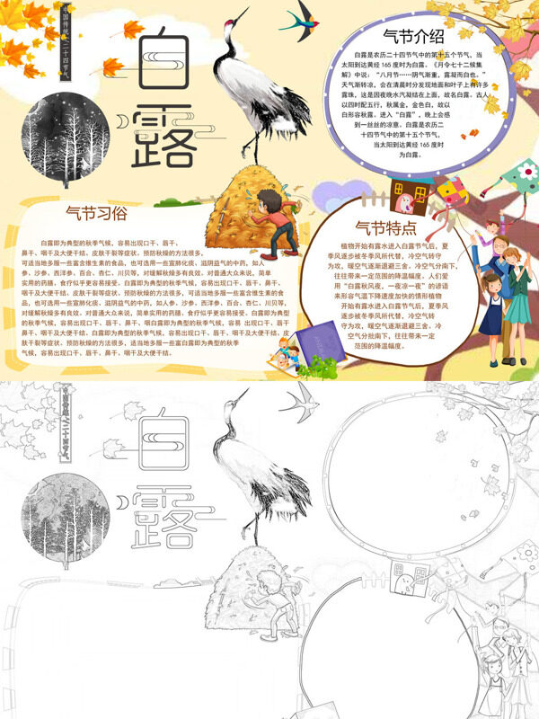 简约白露白露节气手抄报