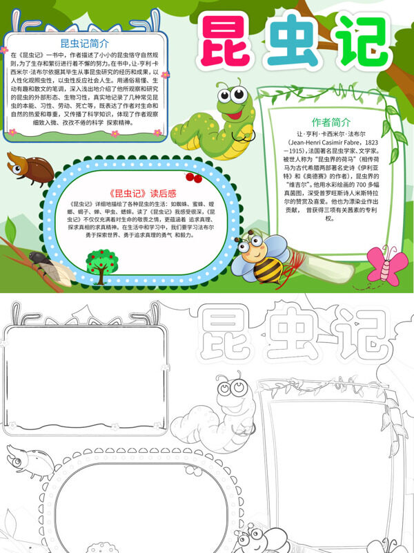 清新昆虫记昆虫世界手抄报