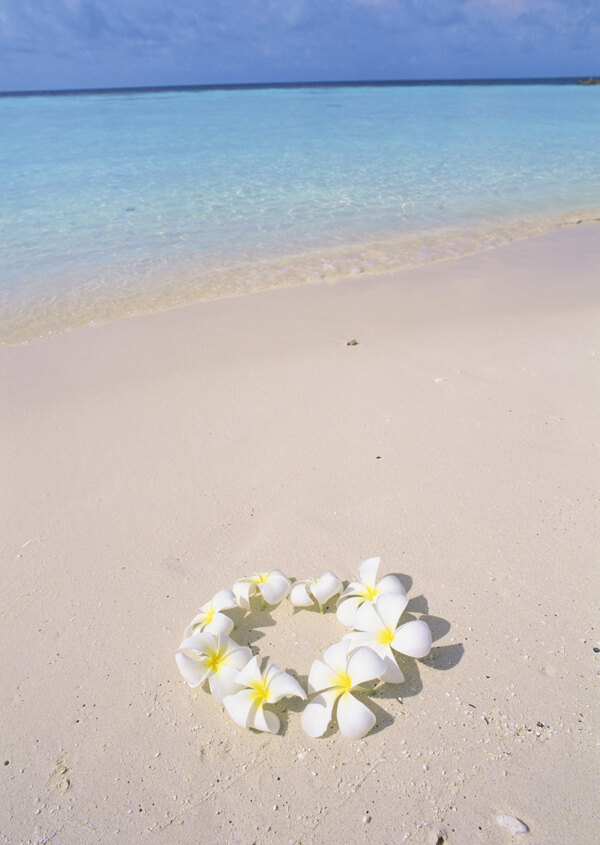 沙滩上的花环图片