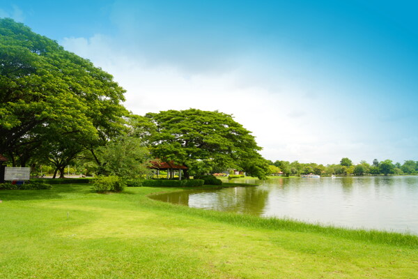 绿色湖泊风景图片