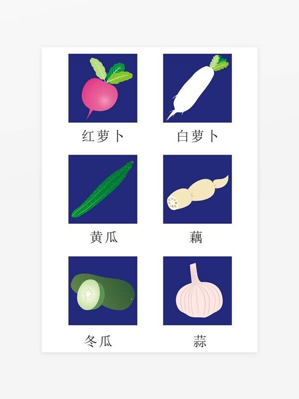 蔬菜矢量图萝卜黄瓜藕冬瓜蒜