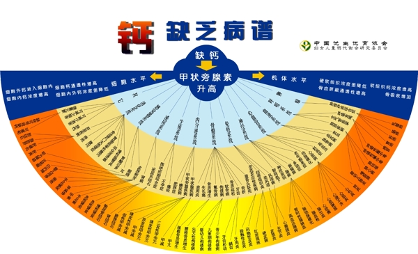 钙缺乏病谱图片