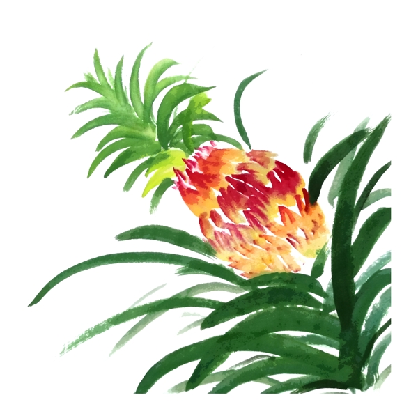凤梨菠萝水果水墨国画鲜果热带PNG