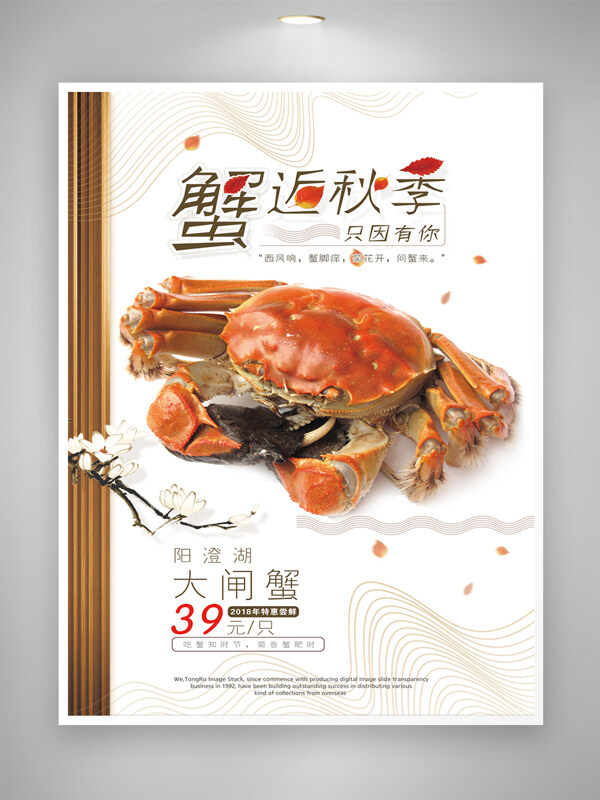 一整只螃蟹美食蒸原汁原味宣传海报