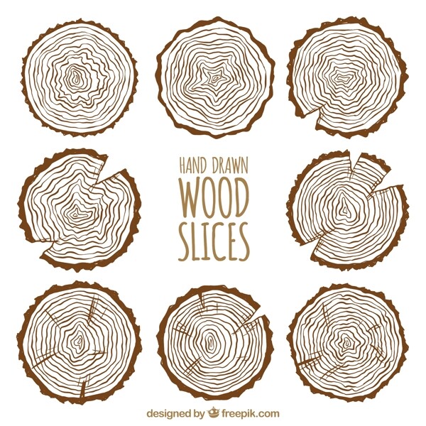 木材切片木纹