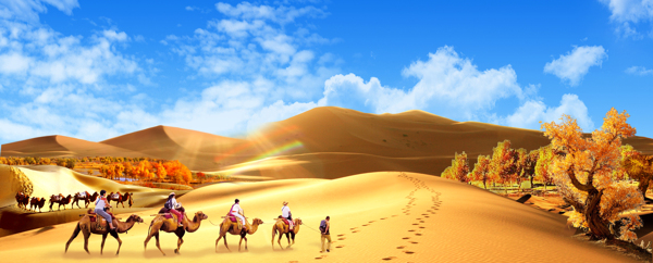 新疆沙漠胡杨旅游度假风景图片 