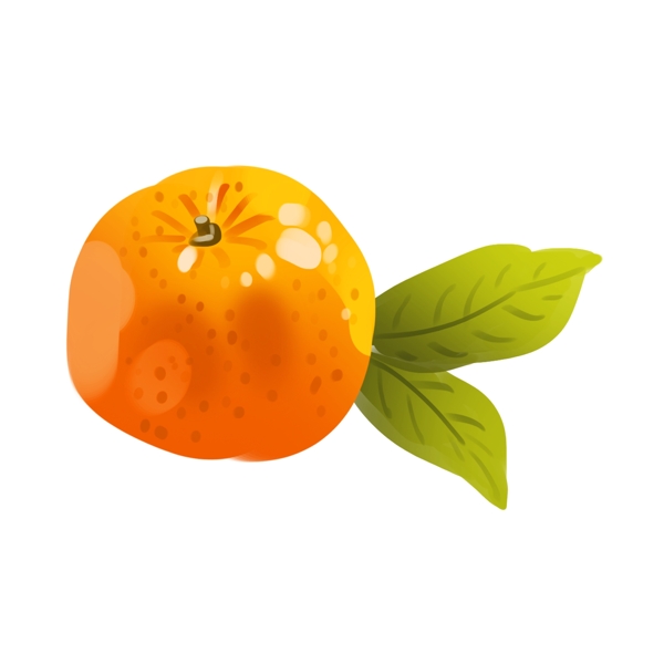 创意美味柑橘插画