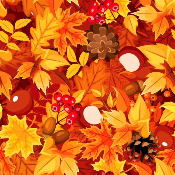秋天树叶坚果背景图片