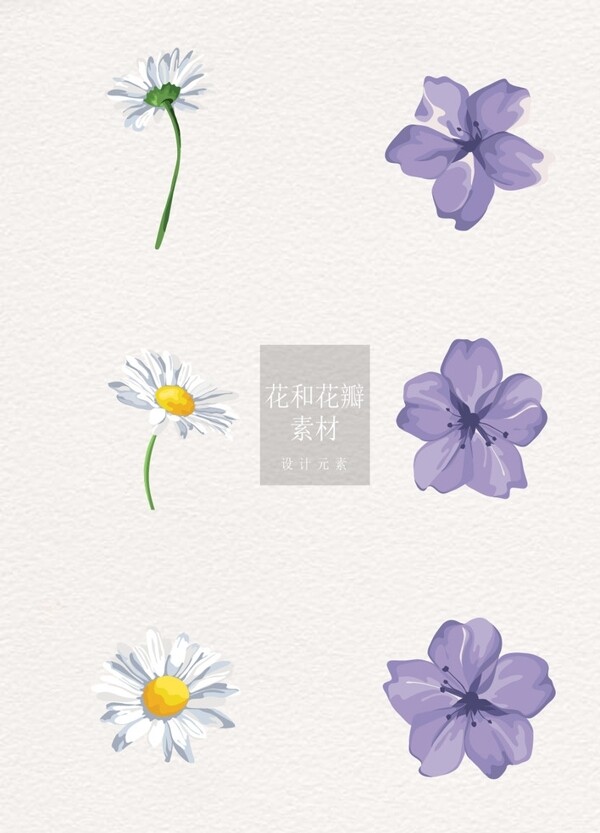 花和花瓣素材紫色白色花朵ai矢