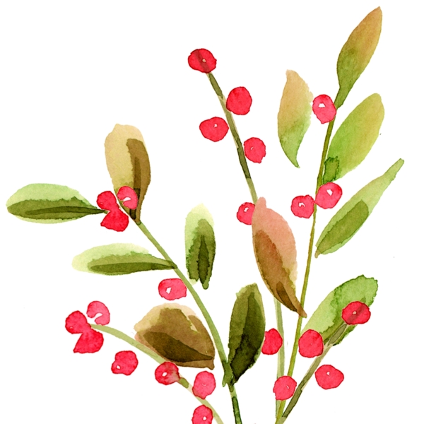 手绘植物红色小果子创意元素