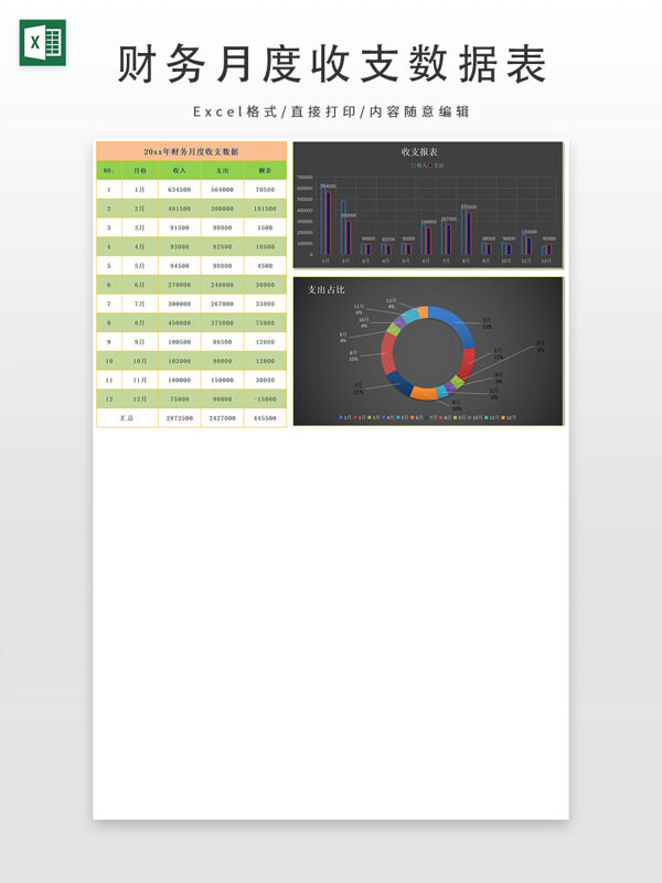 财务月度收支数据表