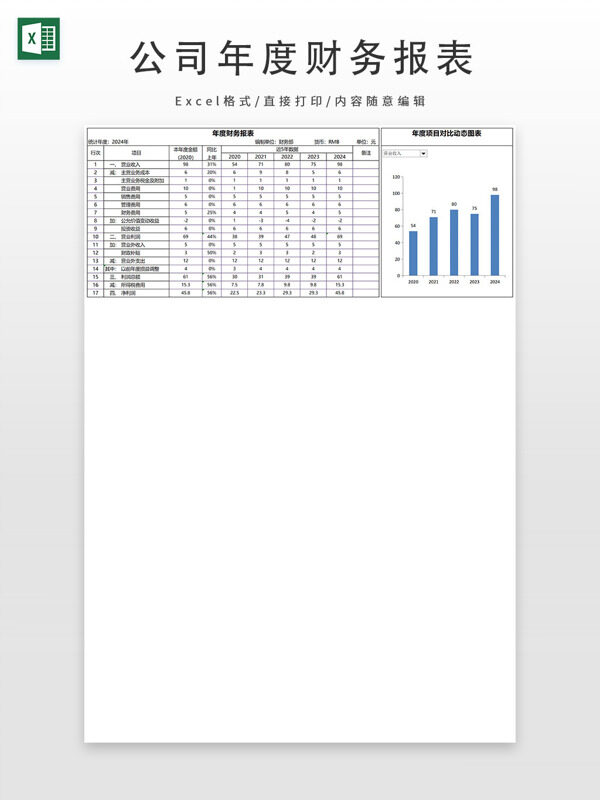 公司年度财务报表