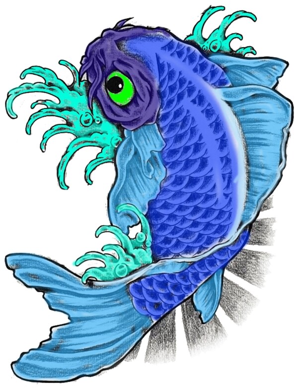 美丽的蓝色的锦鲤鱼PSD图